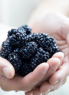 Fruchtaufstrich Brombeere 335g