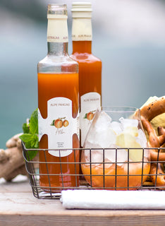 Sciroppo di Albicocca 500ml