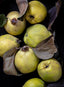 Fruchtaufstrich Quitte 335g