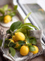 17 Limited Edition fragola, scorza di limone e basilico 220g