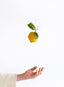 Marmellata Limone 110g