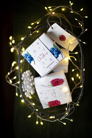 Cartone regalo natale con 4 composte di frutta biologiche 30g