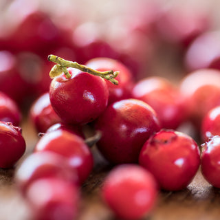 Fruchtaufstrich Preiselbeere 1800g