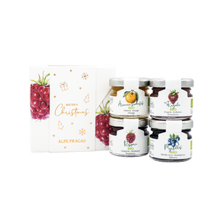 Geschenkskarton für 4x Bio Fruchtaufstriche 30g Weihnachten